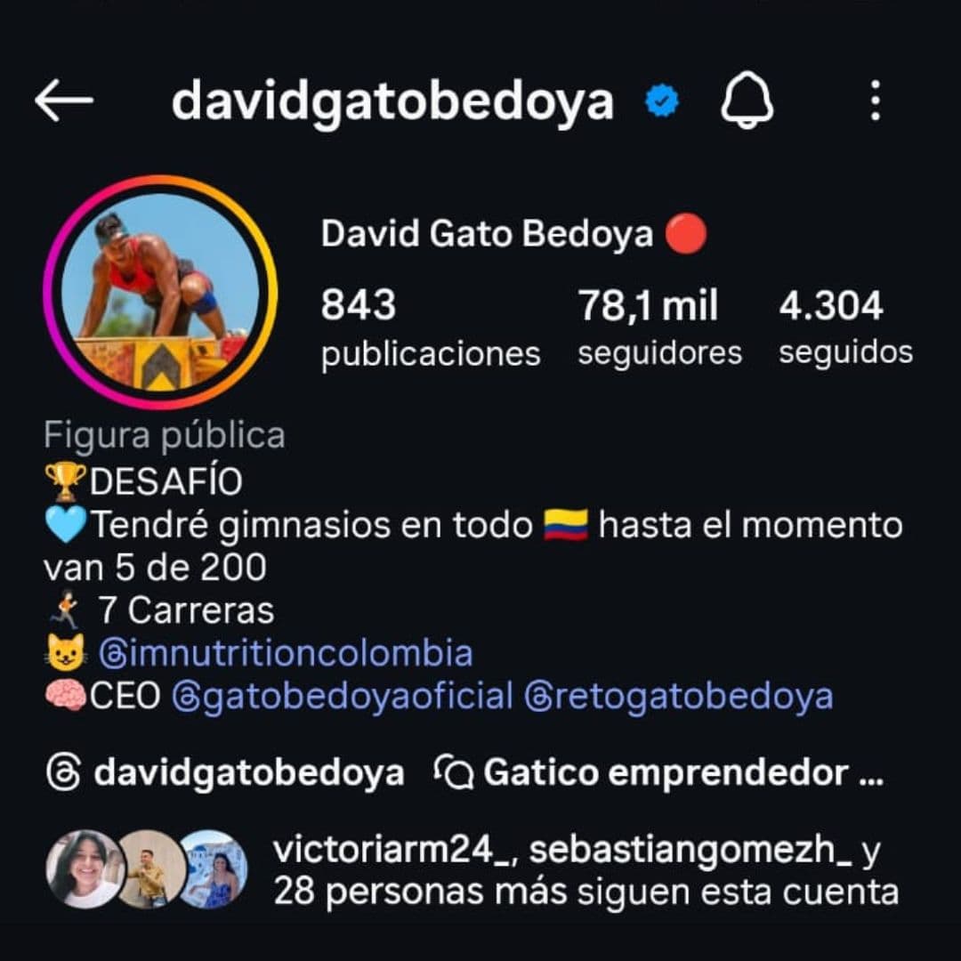 Gato Bedoya